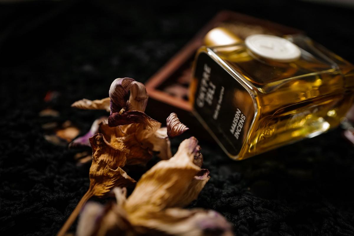 عطر ادکلن چیپر ایزلی میسون اینسنس - Chypre Isli Maison Incens - بررسی، قیمت و خرید