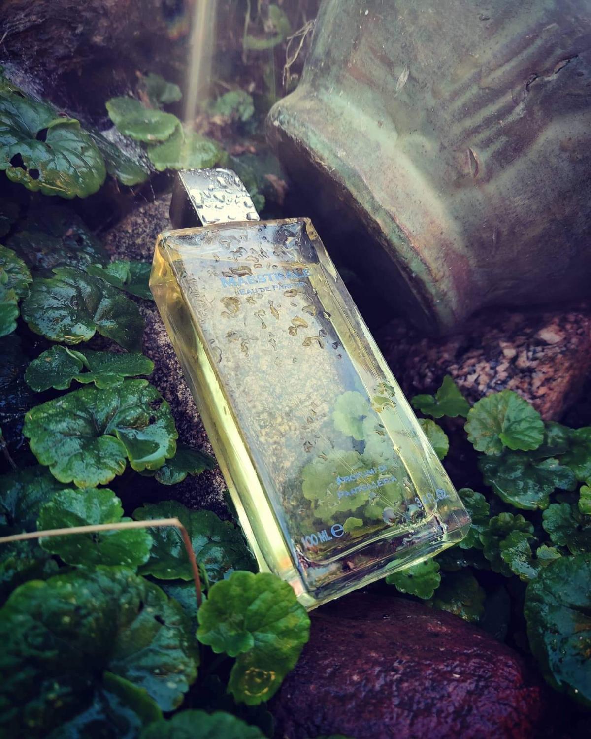 عطر ادکلن مایستراله پروفومی دی پانتلریا - Maestrale Profumi di Pantelleria - بررسی، قیمت و خرید