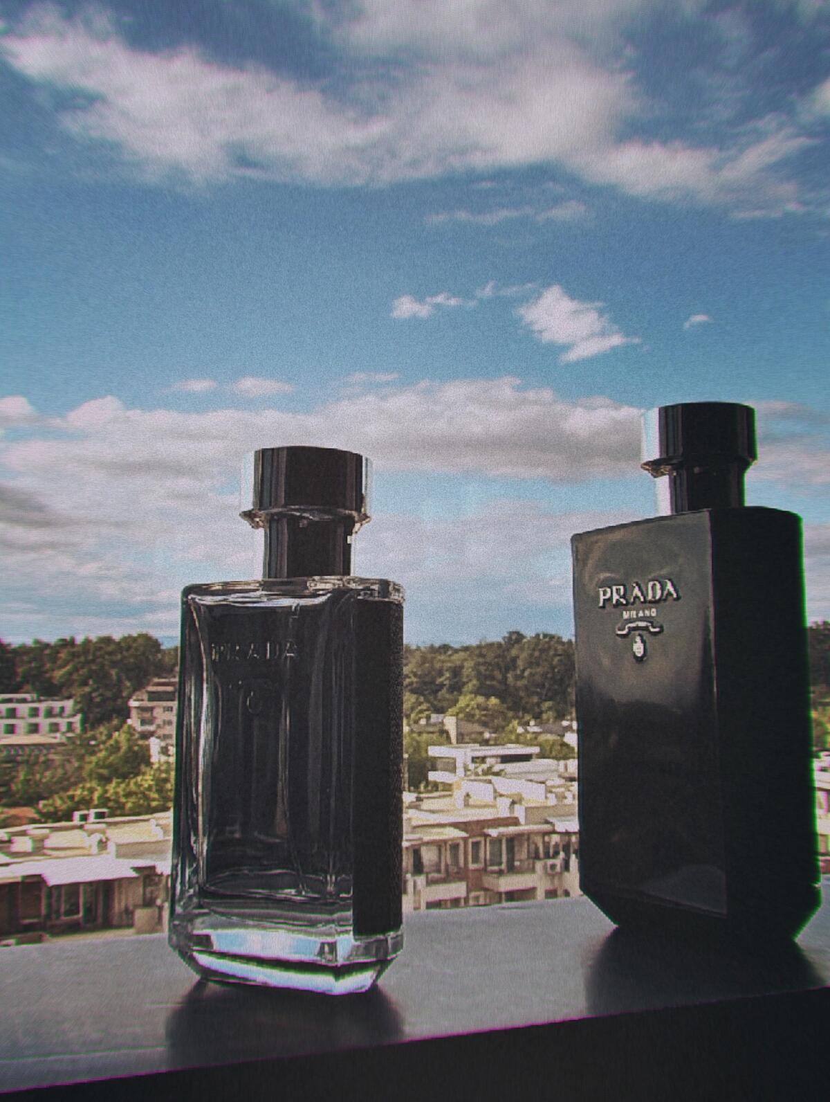 عطر ادکلن پرا دا لوم پرادا - Prada L'Homme Prada - بررسی، قیمت و خرید