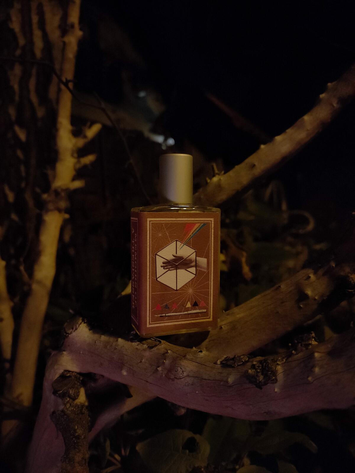 عطر ادکلن مموآرز آو ا تریسپسر ایمجینری آثرز - Memoirs Of A Trespasser Imaginary Authors - بررسی، قیمت و خرید