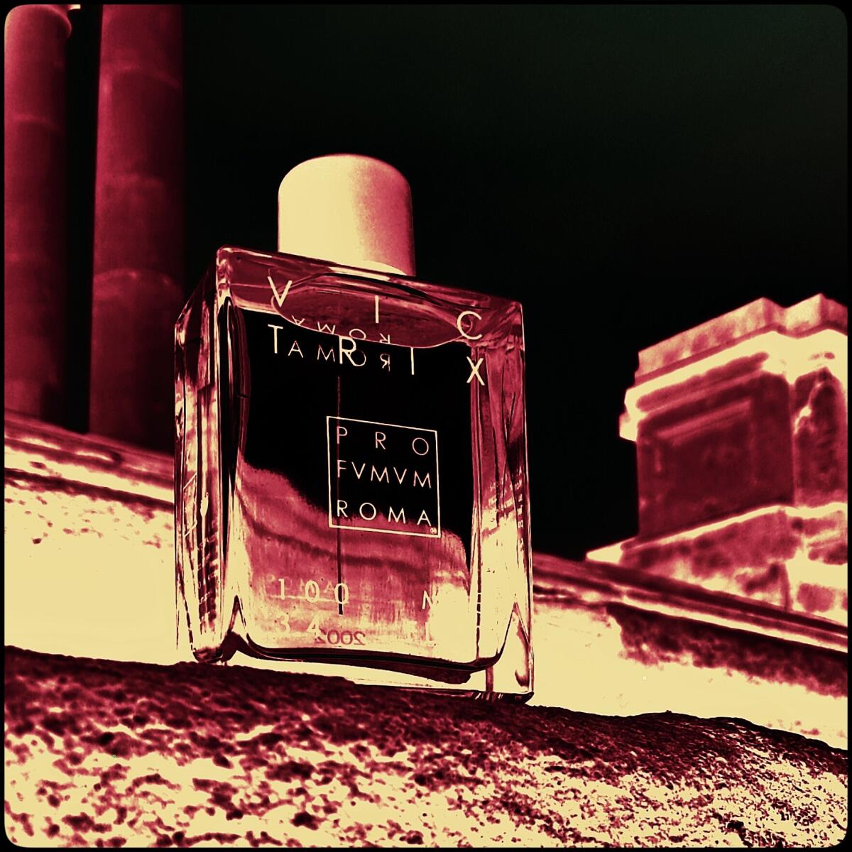 عطر ادکلن ویکتریکس پروفیوم روم - Victrix Profumum Roma - بررسی، قیمت و خرید