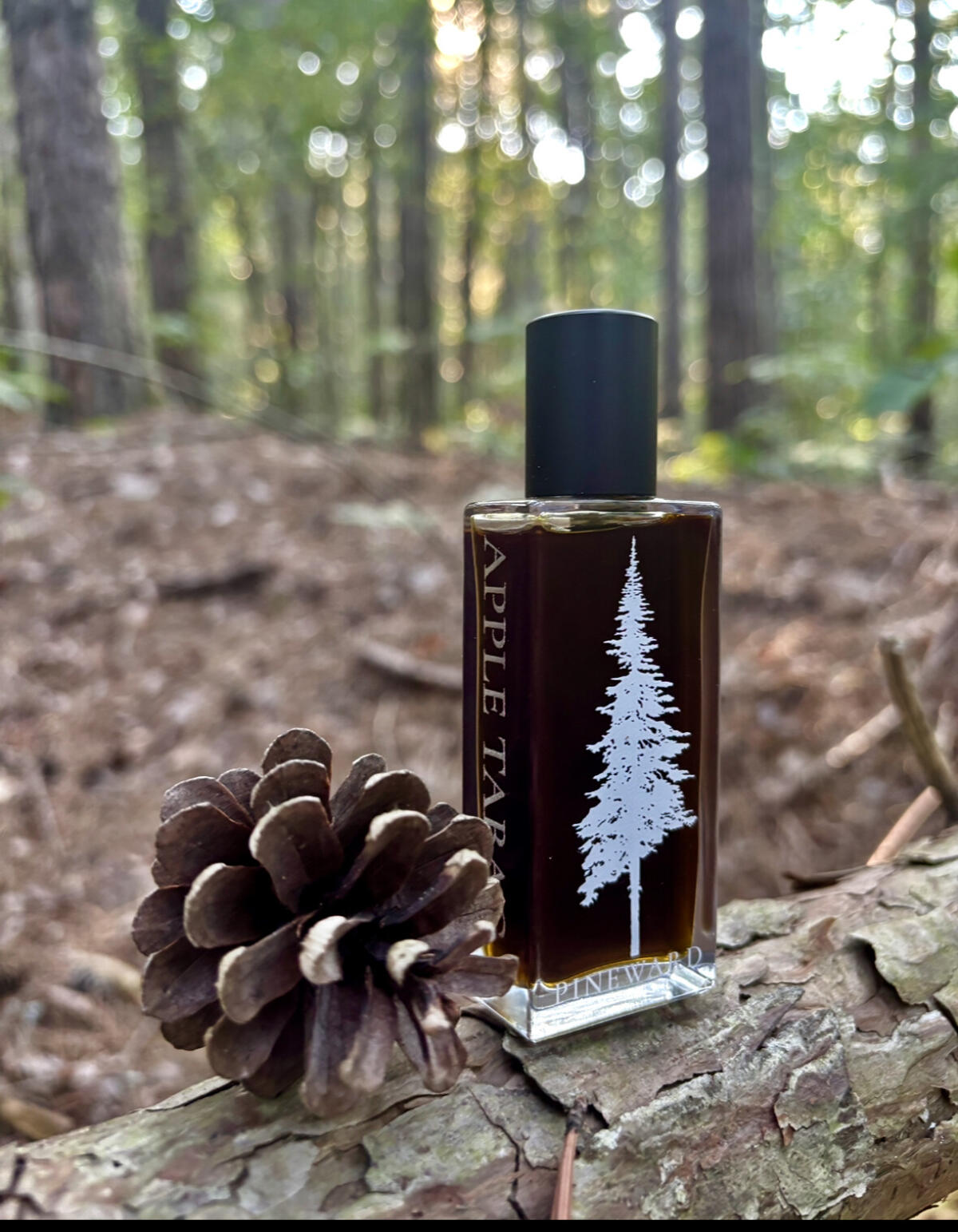 عطر ادکلن اپل تاباک پاین وارد پرفیومز - Apple Tabac Pineward Perfumes - بررسی، قیمت و خرید