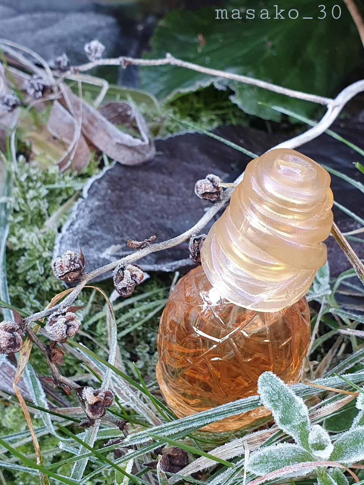 عطر ادکلن کاشایا کنزو - Kashaya Kenzo - بررسی، قیمت و خرید