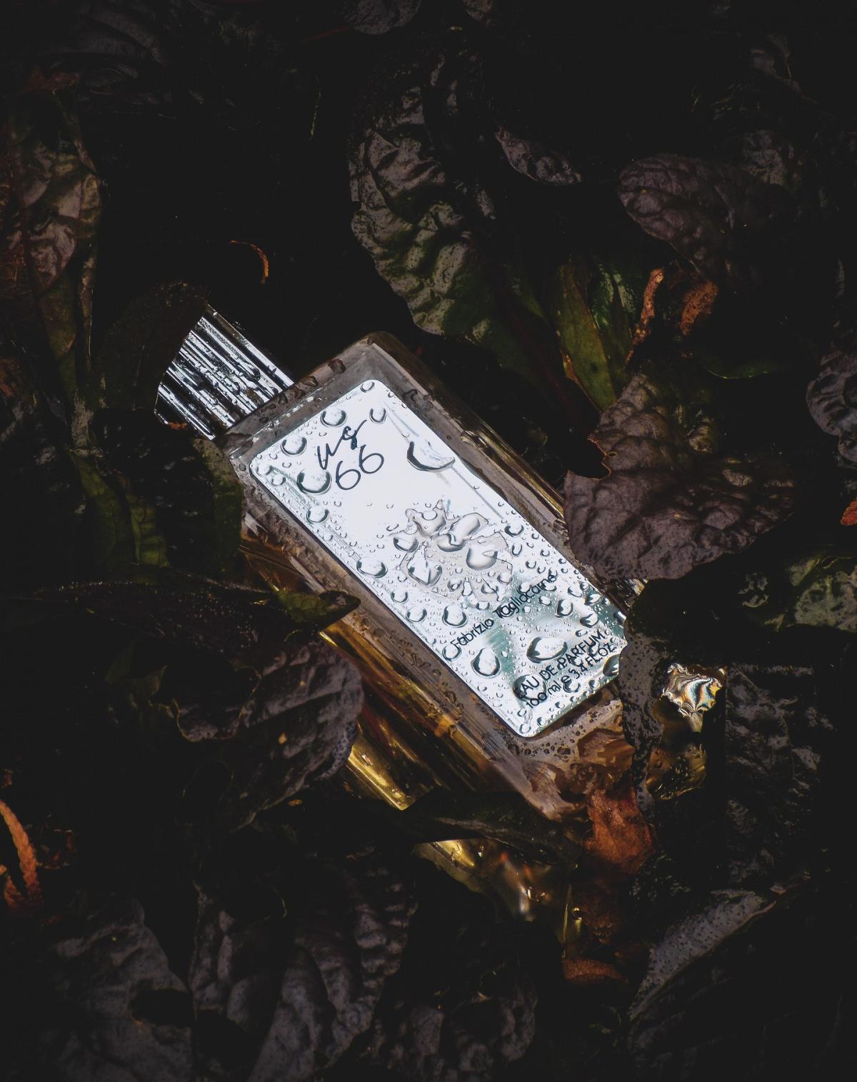 عطر ادکلن یو اس سیکس سیکس آمنیا پروفومی - US66 Omnia Profumi - بررسی، قیمت و خرید