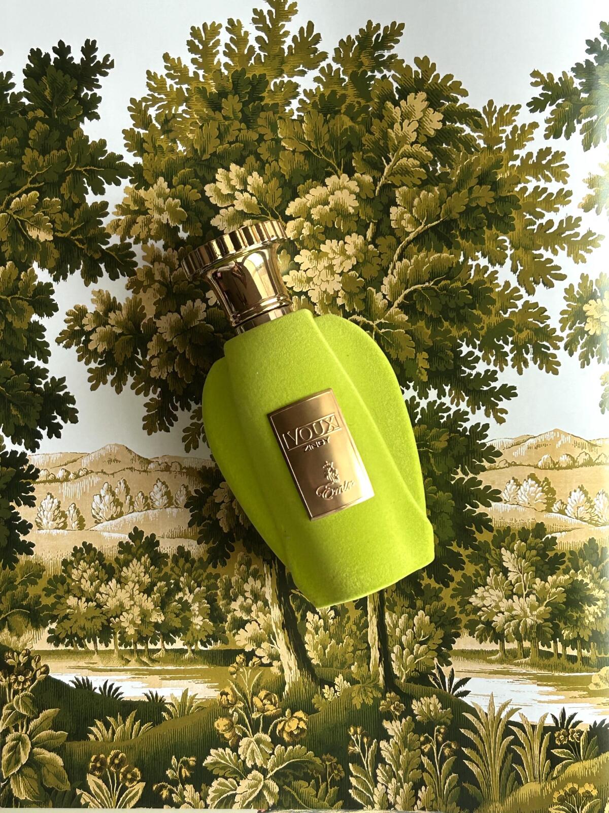 عطر ادکلن وو زینگی پاریس کرنر - Voux Zingy PARIS CORNER - بررسی، قیمت و خرید