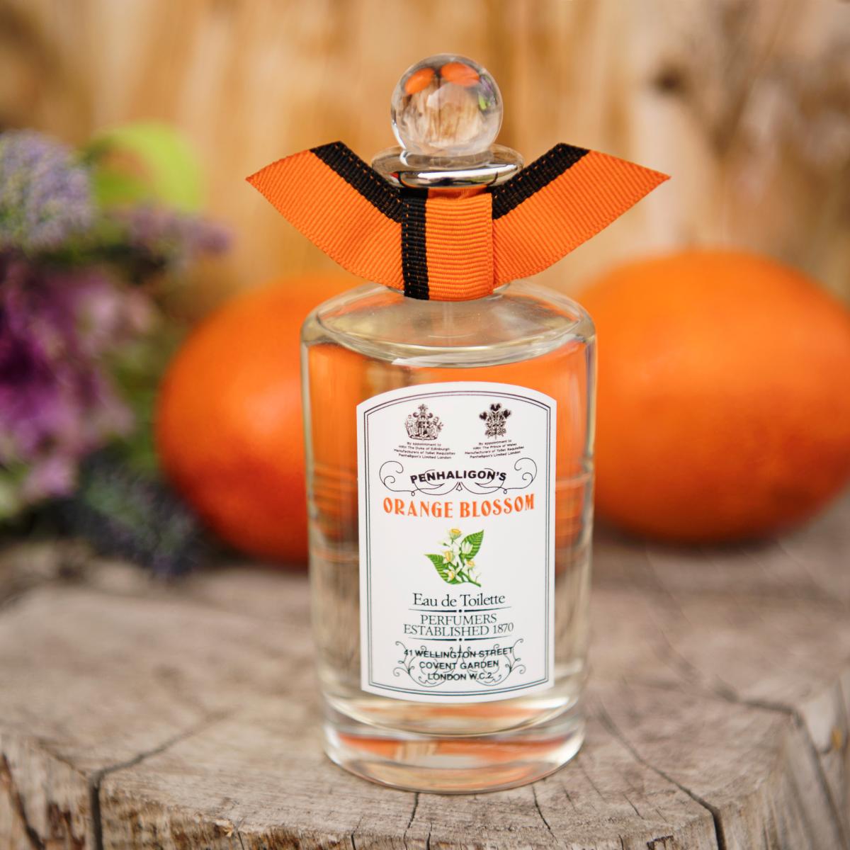 عطر ادکلن اورنج بلاسِم پنهالیگونز - Orange Blossom Penhaligon's - بررسی، قیمت و خرید