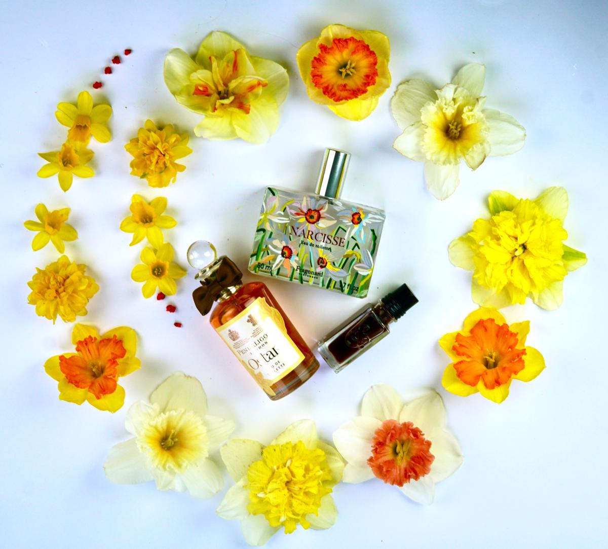 عطر ادکلن اوستارا پنالیگونز - Ostara Penhaligon's - بررسی، قیمت و خرید