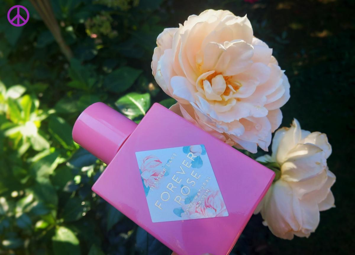 عطر ادکلن فوراور رز نیچر بلاسوم - Forever Rose Nature Blossom - بررسی، قیمت و خرید