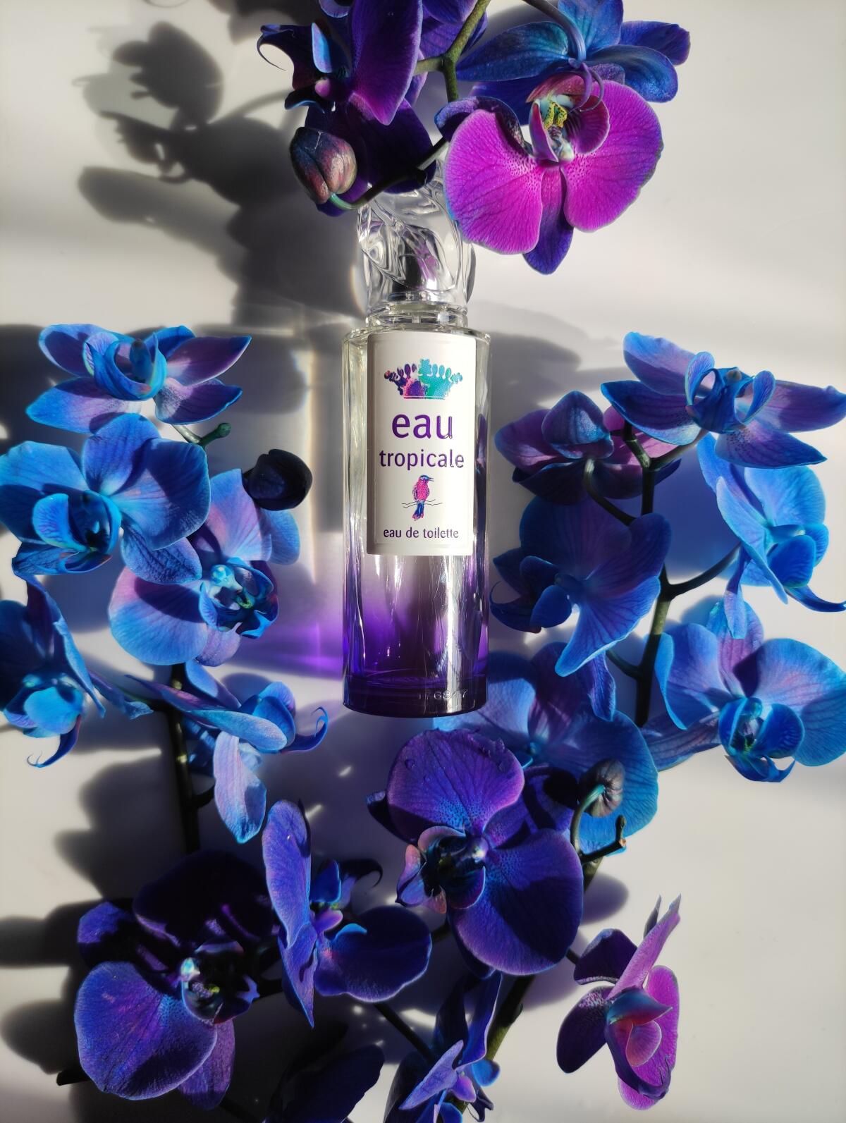 عطر ادکلن او تروپیکال سیسلی - Eau Tropicale Sisley - بررسی، قیمت و خرید