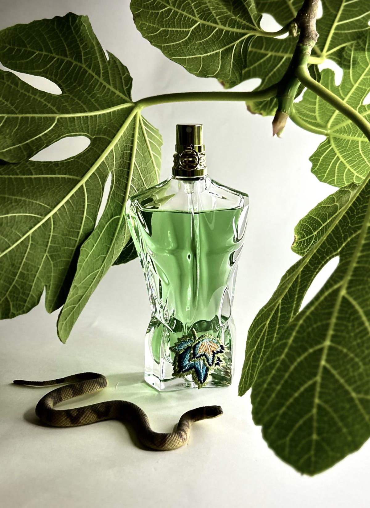 عطر ادکلن لی بو پارادایس گاردن ژان پل گوتیه - Le Beau Paradise Garden Jean Paul Gaultier - بررسی، قیمت و خرید