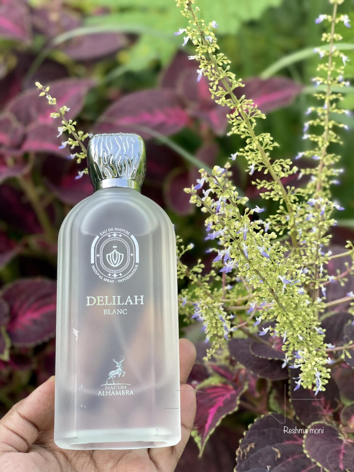 عطر ادکلن دلیلا بلانک میسون الهامبرا - Delilah Blanc Maison Alhambra - بررسی، قیمت و خرید