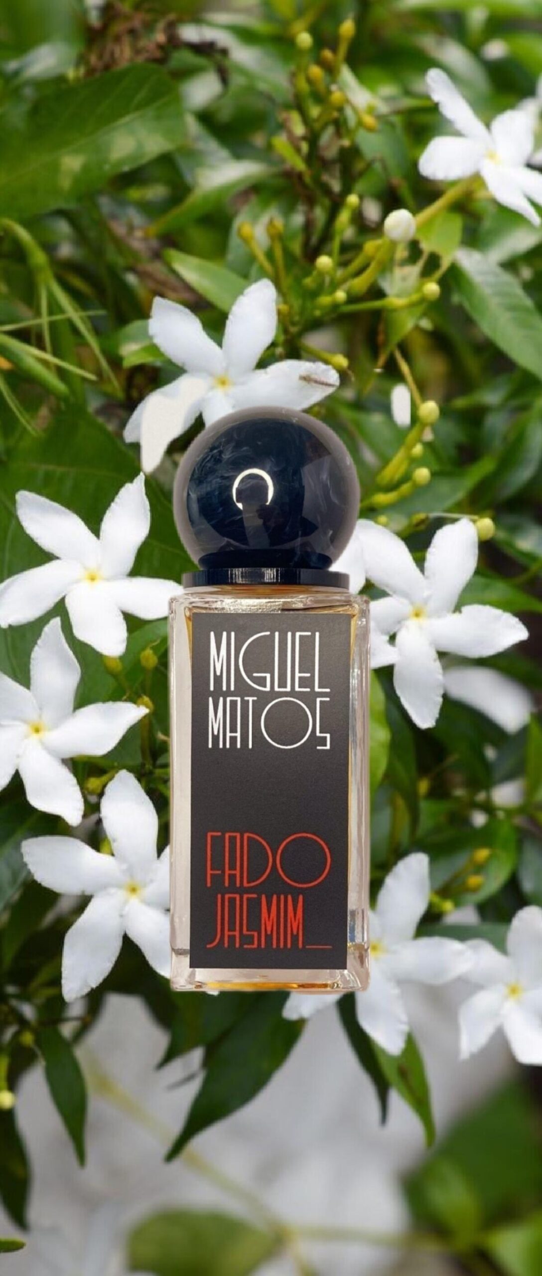 عطر ادکلن فادو ژاسمین میگل ماتوس - Fado Jasmim Miguel Matos - بررسی، قیمت و خرید