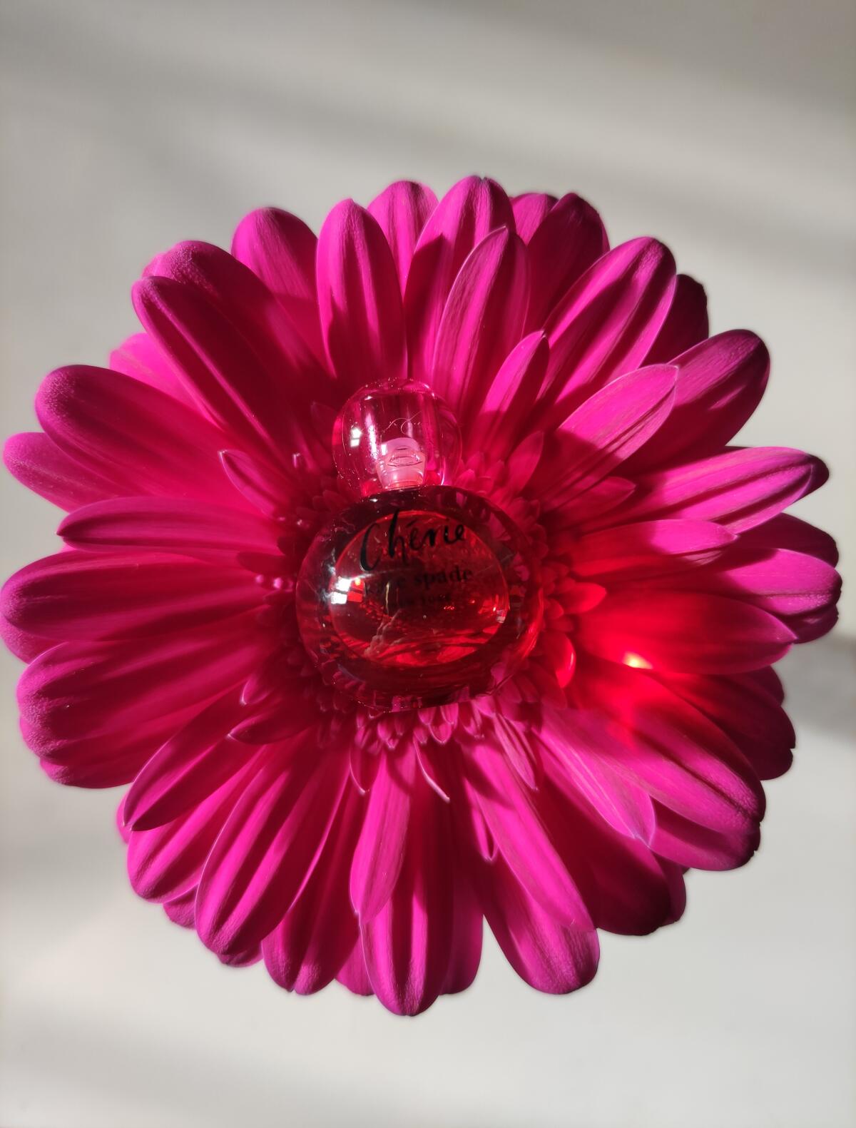 عطر ادکلن شری کیت اسپید - Chérie Kate Spade - بررسی، قیمت و خرید