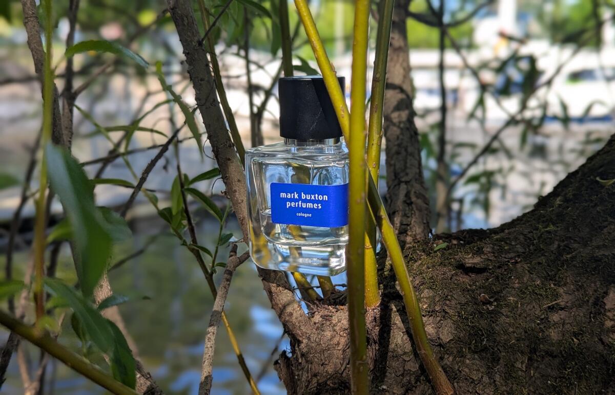 عطر ادکلن وای نات ا کلون مارک باکستون - Why Not A Cologne Mark Buxton - بررسی، قیمت و خرید