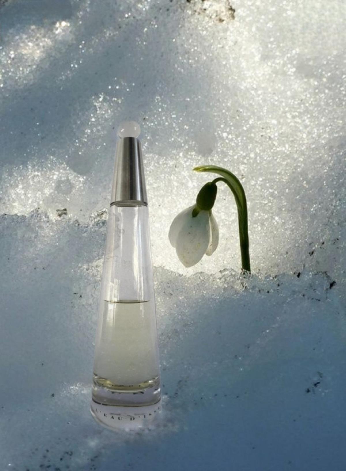 عطر ادکلن لو دی ایسه پارفوم ایسه میاکه - L'Eau d'Issey Parfum Issey Miyake - بررسی، قیمت و خرید