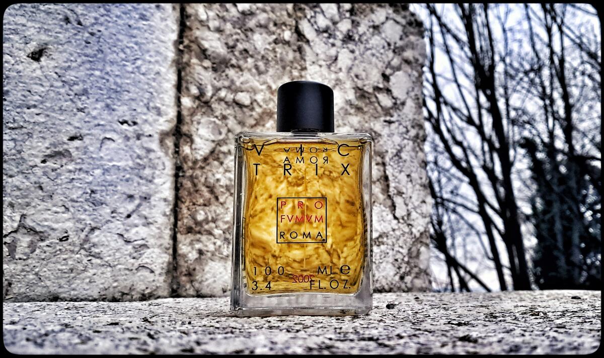 عطر ادکلن ویکتریکس پروفیوم روم - Victrix Profumum Roma - بررسی، قیمت و خرید