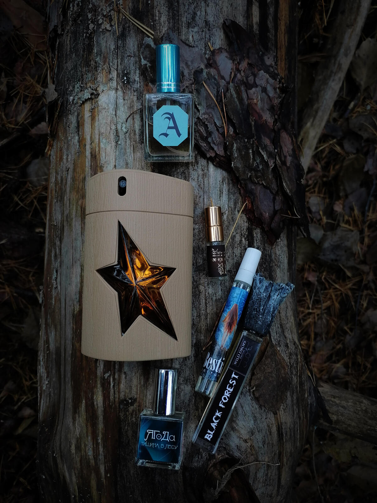 عطر ادکلن آمن پیور وود ماگلر - A*Men Pure Wood Mugler - بررسی، قیمت و خرید