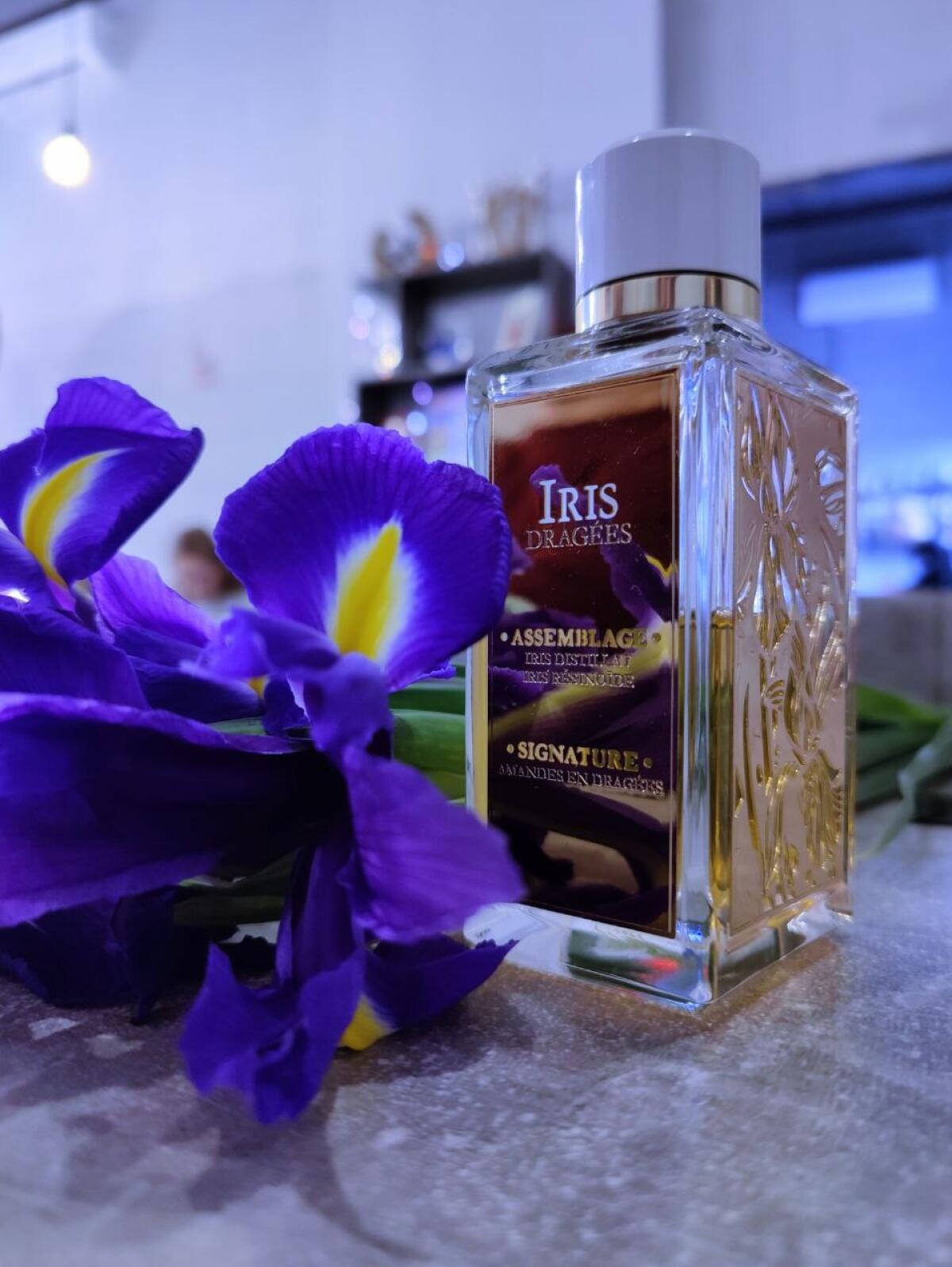 عطر ادکلن آیریس دراژه لانکوم - Iris Dragées Lancôme - بررسی، قیمت و خرید