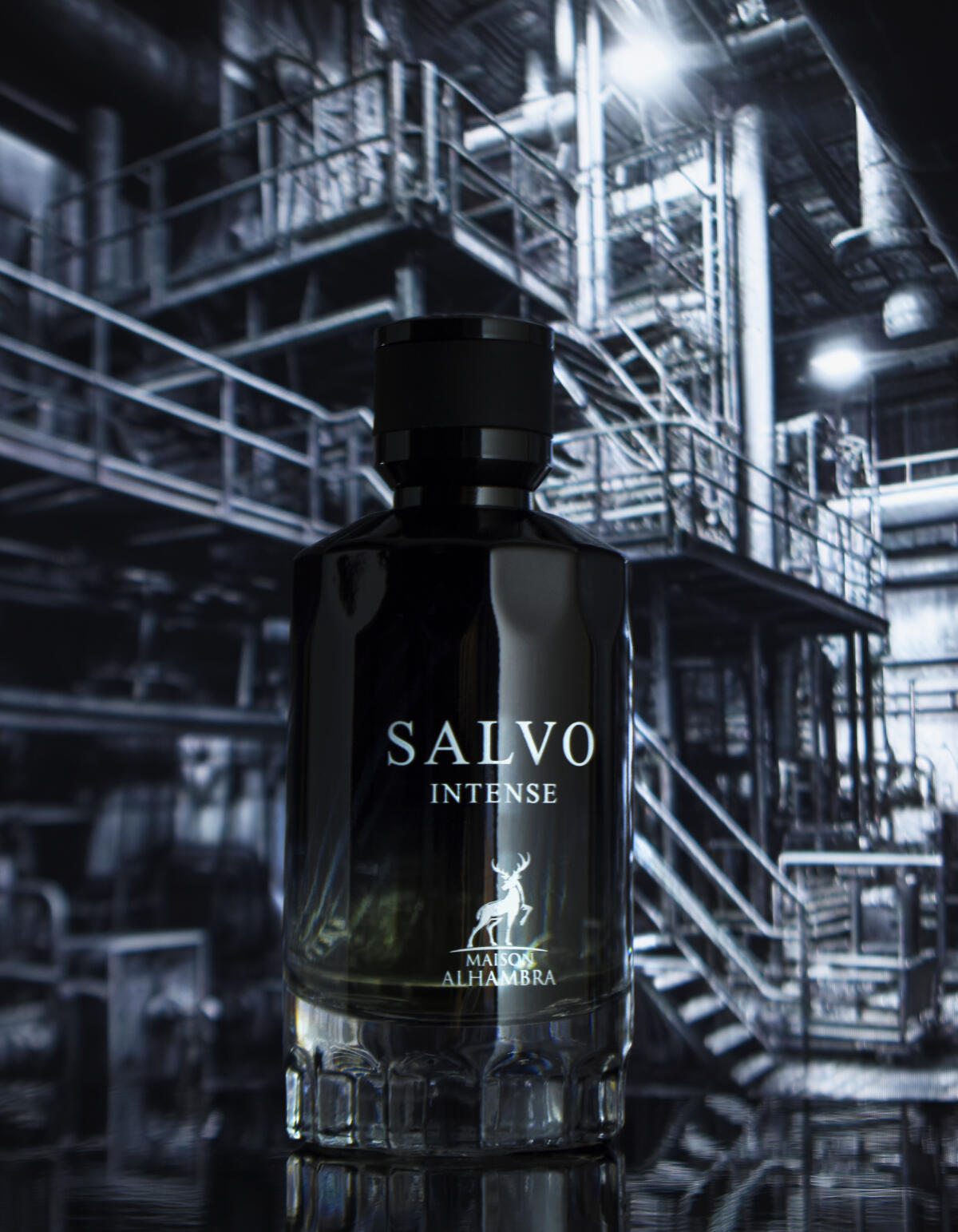 عطر ادکلن سالوو میسون الحمراء - Salvo Maison Alhambra - بررسی، قیمت و خرید