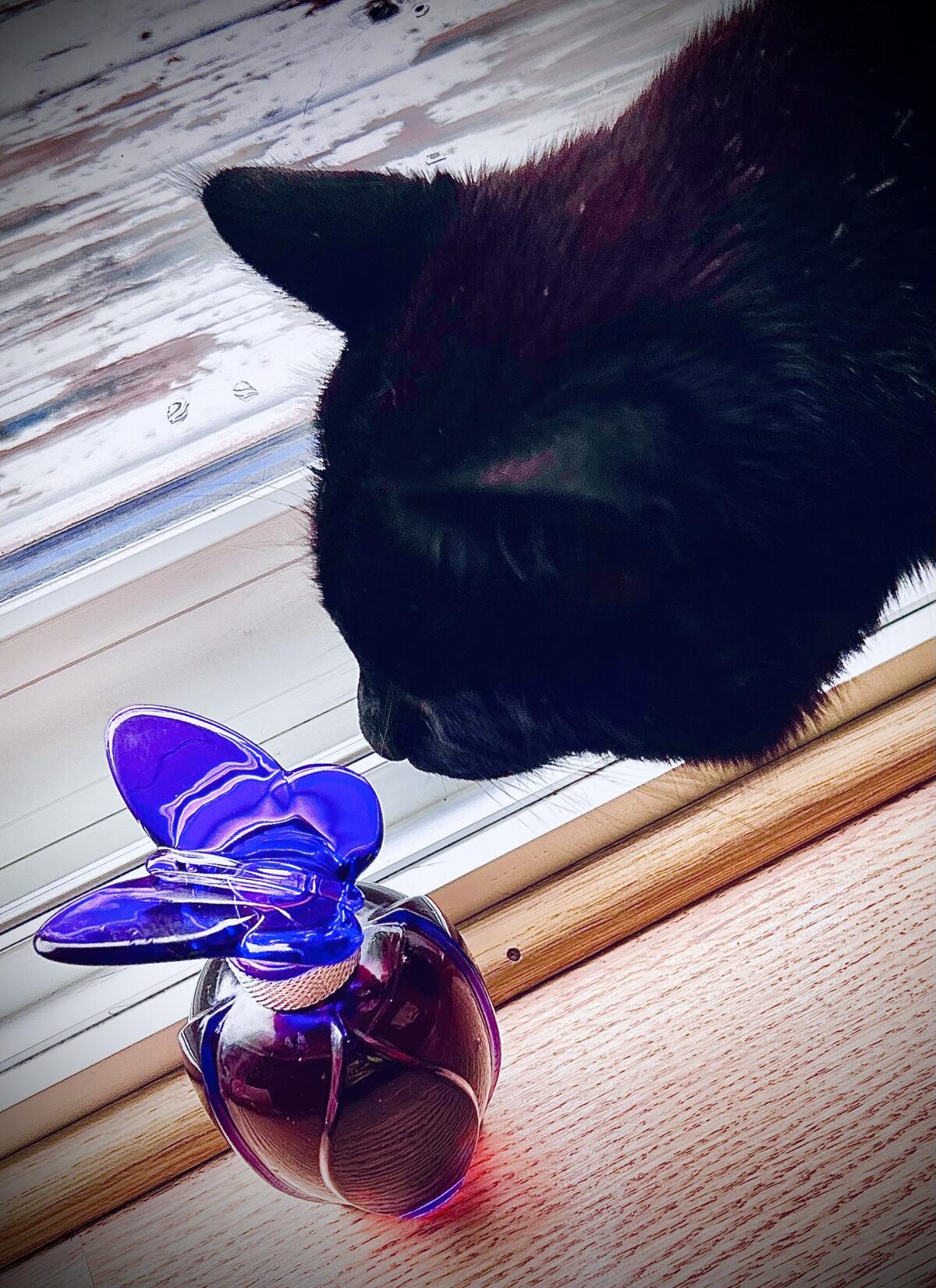 عطر ادکلن ام ماریا کری - M Mariah Carey - بررسی، قیمت و خرید