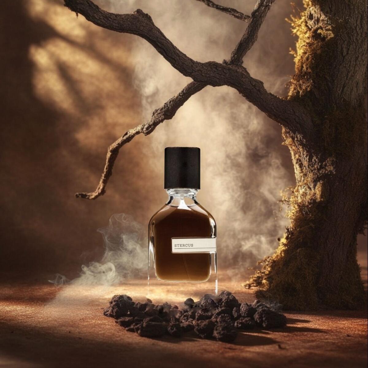 عطر ادکلن استرکوس اورتو پاریسی - Stercus Orto Parisi - بررسی، قیمت و خرید