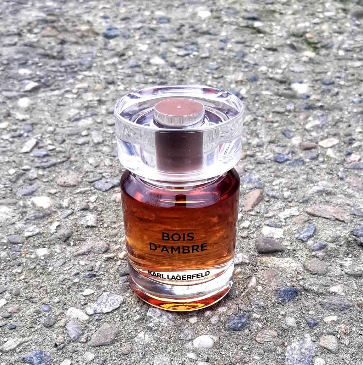 عطر ادکلن بوا دامبر کارل لاگرفلد - Bois d'Ambre Karl Lagerfeld - بررسی، قیمت و خرید