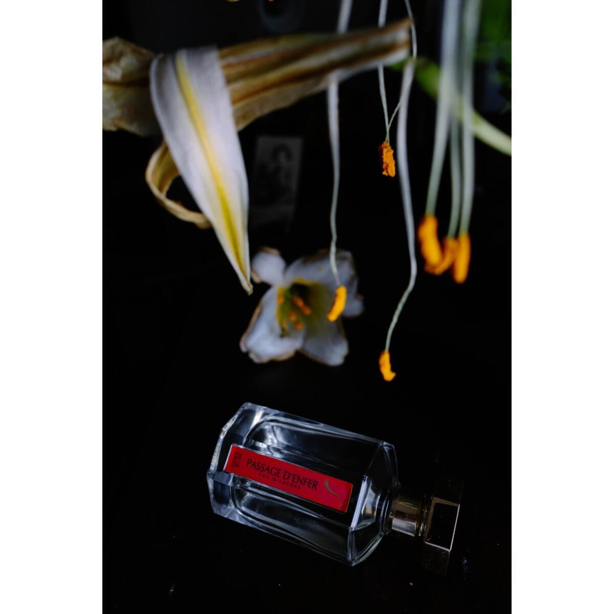 عطر ادکلن پَساج دَنفِر لارتیزان پارفومر - Passage d'Enfer L'Artisan Parfumeur - بررسی، قیمت و خرید