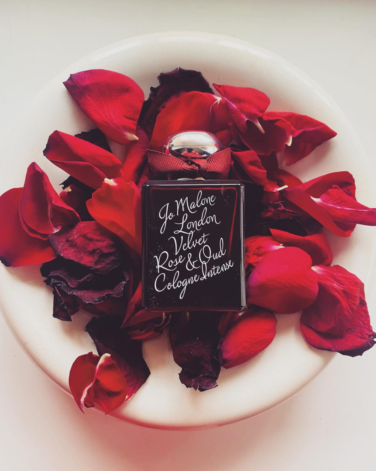 عطر ادکلن ولوت رز اند عود کلون اینتنس جو مالون لندن - Velvet Rose & Oud Cologne Intense Jo Malone London - بررسی، قیمت و خرید