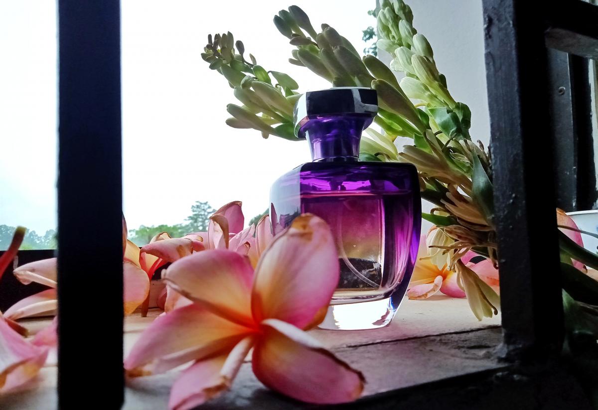 عطر ادکلن تیز پاریس هیلتون - Tease Paris Hilton - بررسی، قیمت و خرید