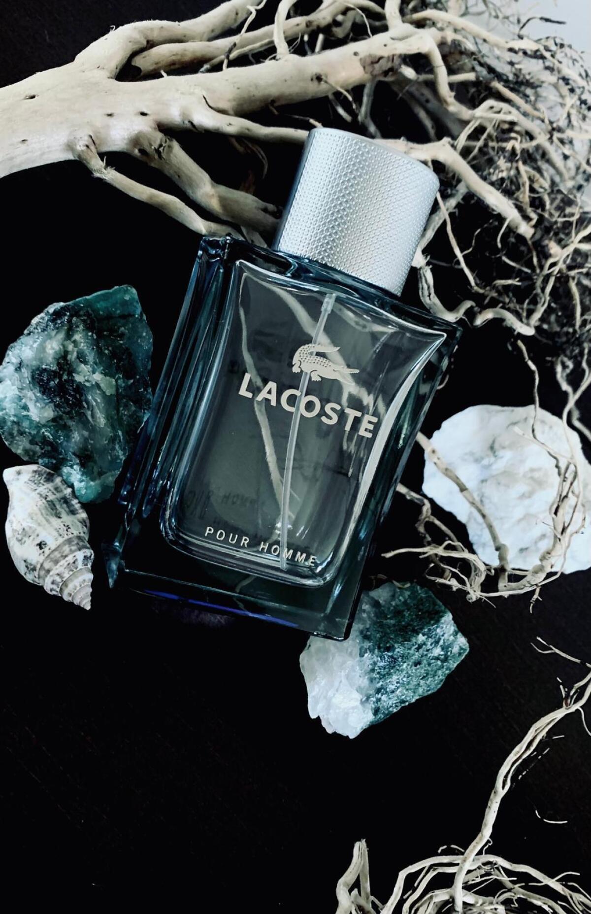 عطر ادکلن لاکست پور هوم لاکست فراگرنسز - Lacoste Pour Homme Lacoste Fragrances - بررسی، قیمت و خرید