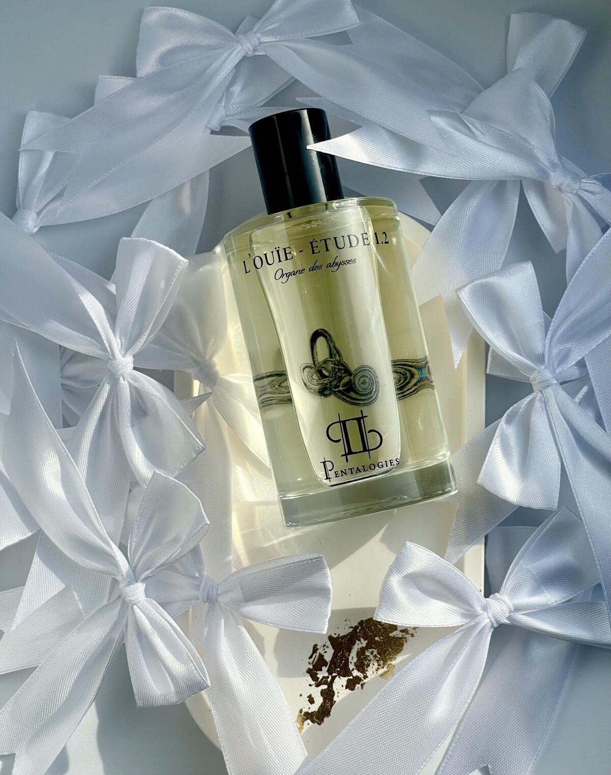 عطر ادکلن اِتود لویی پنتالوجیز - Etude 1.2: L’Ouïe Pentalogies - بررسی، قیمت و خرید