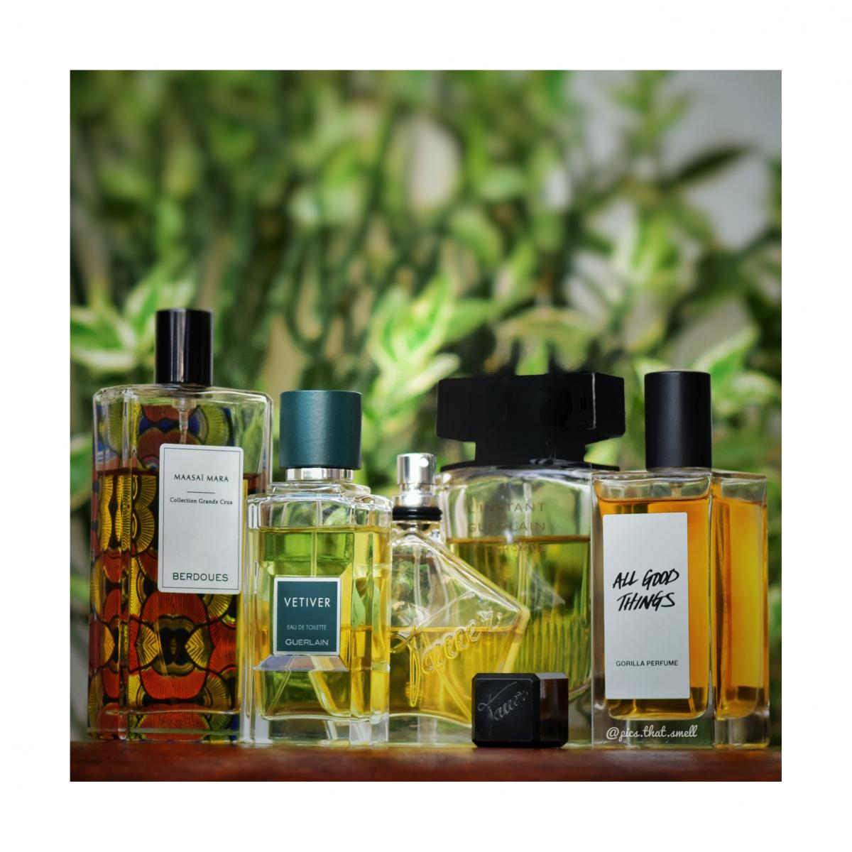 عطر ادکلن آل گود تینگز لاش - All Good Things Lush - بررسی، قیمت و خرید