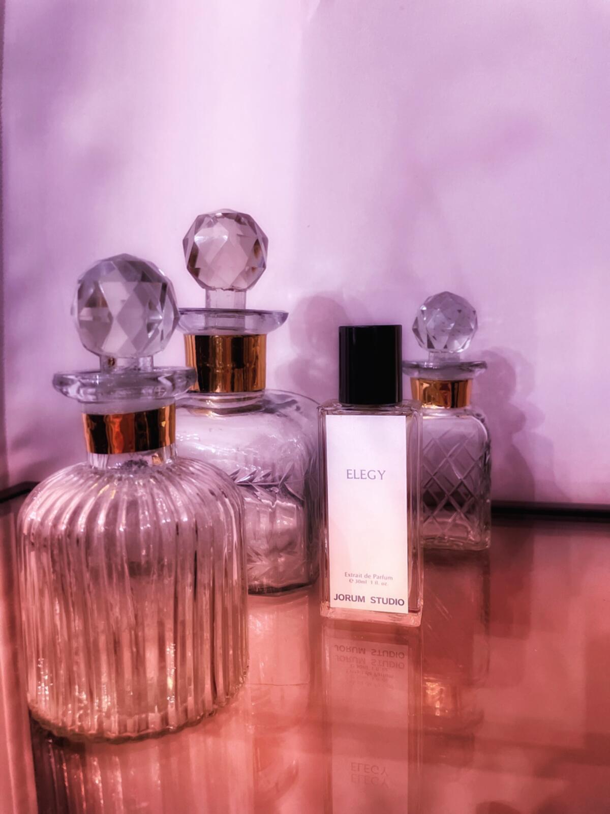 عطر ادکلن الژی جرم استودیو - Elegy Jorum Studio - بررسی، قیمت و خرید