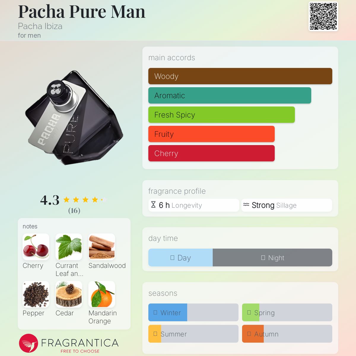 عطر ادکلن پاچا پیور من پاچا ایبیزا - Pacha Pure Man Pacha Ibiza - بررسی، قیمت و خرید