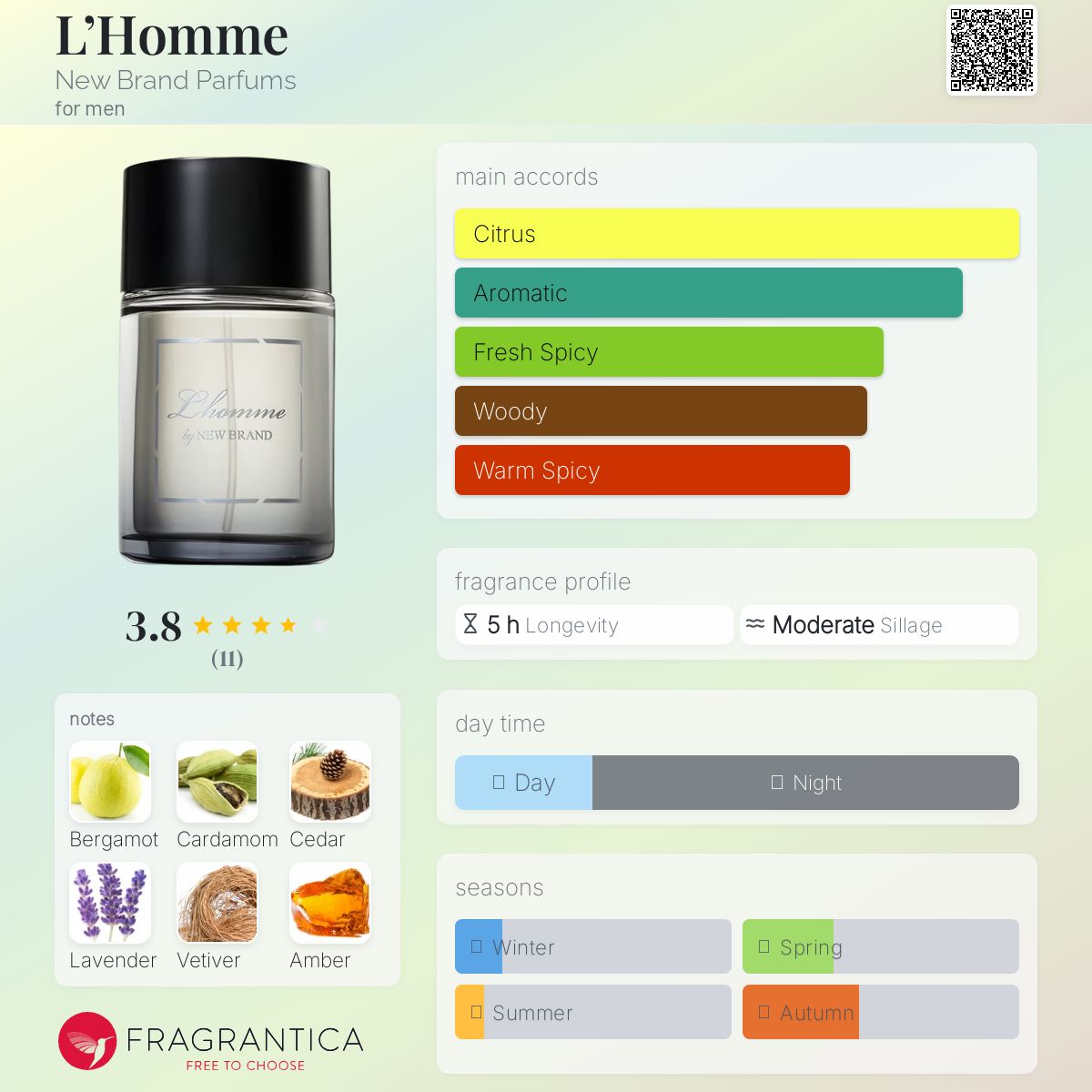 عطر ادکلن لوم نیو برند پرفیومز - L’Homme New Brand Parfums - بررسی، قیمت و خرید