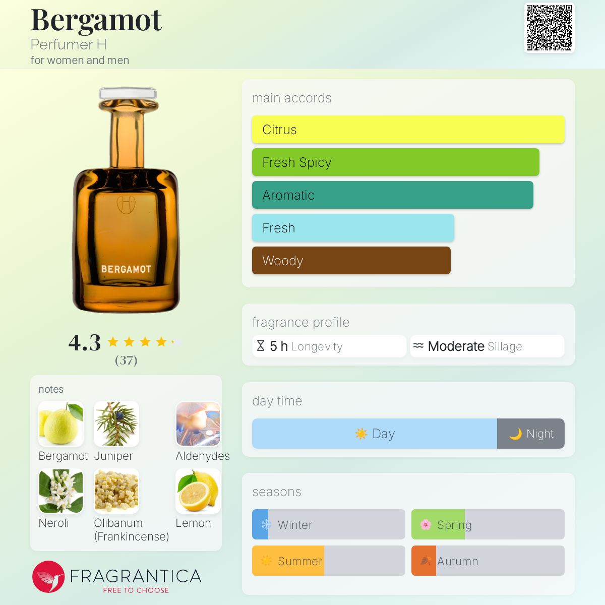 عطر ادکلن برگاموت پرفیومر اچ - Bergamot Perfumer H - بررسی، قیمت و خرید