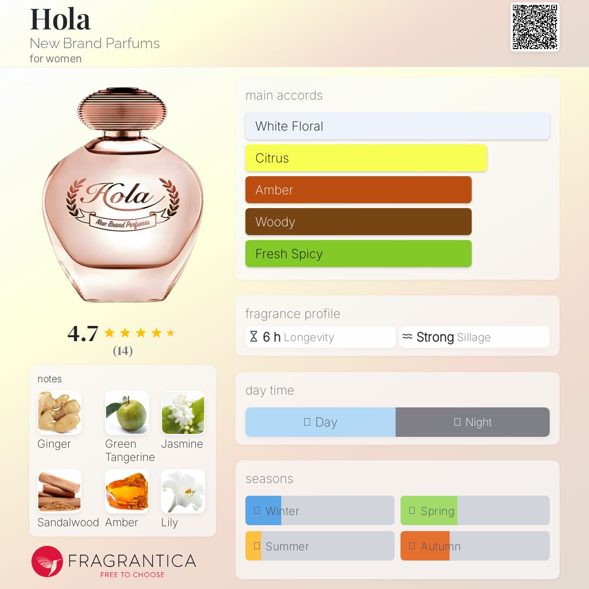 عطر ادکلن اولا نیو برند پرفیوم - Hola New Brand Parfums - بررسی، قیمت و خرید