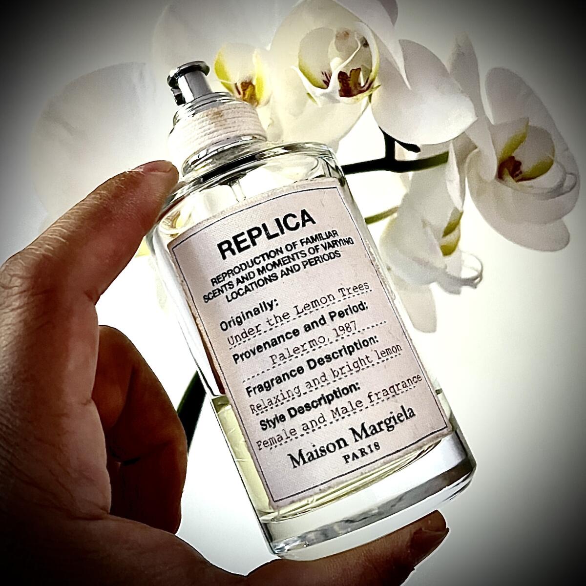 عطر ادکلن آندر د لیمون تری مِیزان مارتین مارژلا - Under The Lemon Tree Maison Martin Margiela - بررسی، قیمت و خرید