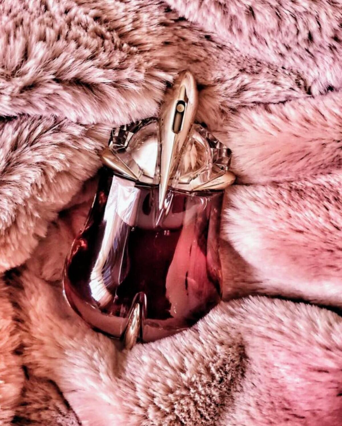 عطر ادکلن آلین اسنس ابسولو موگلر - Alien Essence Absolue Mugler - بررسی، قیمت و خرید