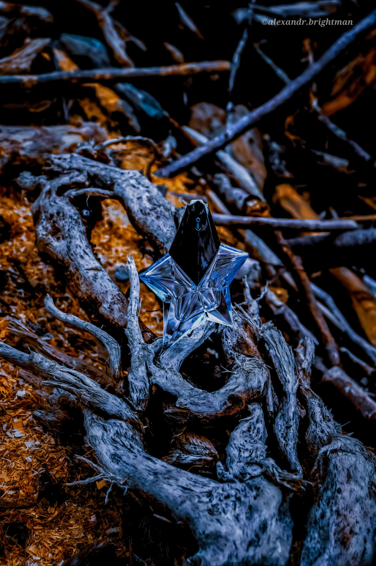 عطر ادکلن انجل موگلر - Angel Mugler - بررسی، قیمت و خرید