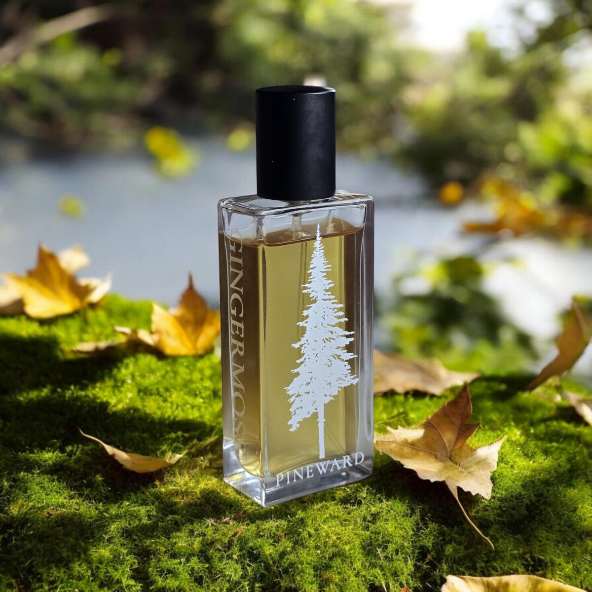 عطر ادکلن جینجرموس پاین‌ورد پرفیومز - Gingermoss Pineward Perfumes - بررسی، قیمت و خرید