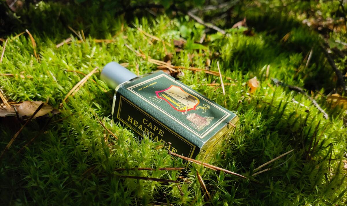 عطر ادکلن کیپ هارتیک ایمجینری آثرز - Cape Heartache Imaginary Authors - بررسی، قیمت و خرید