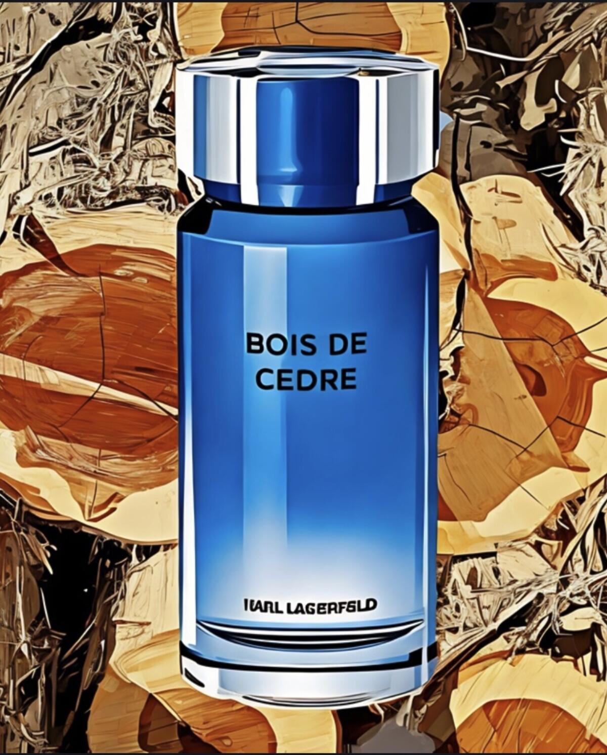 عطر ادکلن بوا دو سدر کارل لاگرفلد - Bois de Cedre Karl Lagerfeld - بررسی، قیمت و خرید