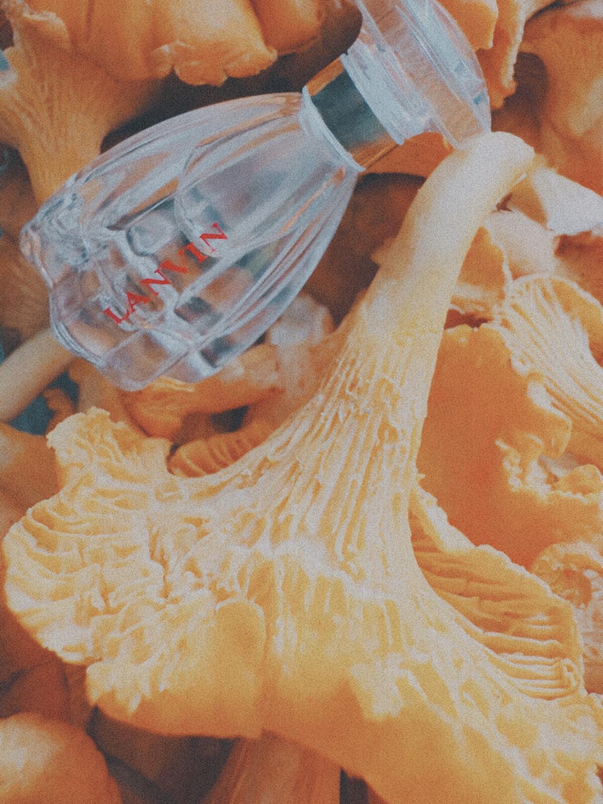 عطر ادکلن مادِرن پرینسس لنوین - Modern Princess Lanvin - بررسی، قیمت و خرید