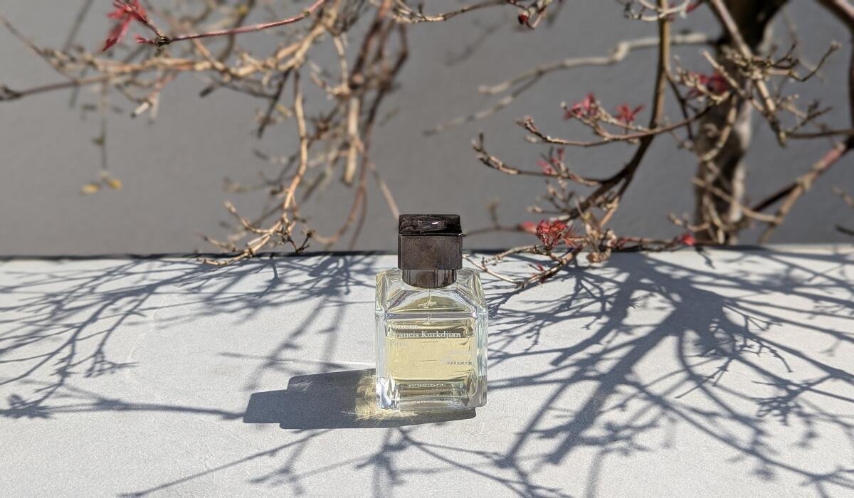 عطر ادکلن مسکلن پلوریل میزان فرانسیس کرکجان - Masculin Pluriel Maison Francis Kurkdjian - بررسی، قیمت و خرید