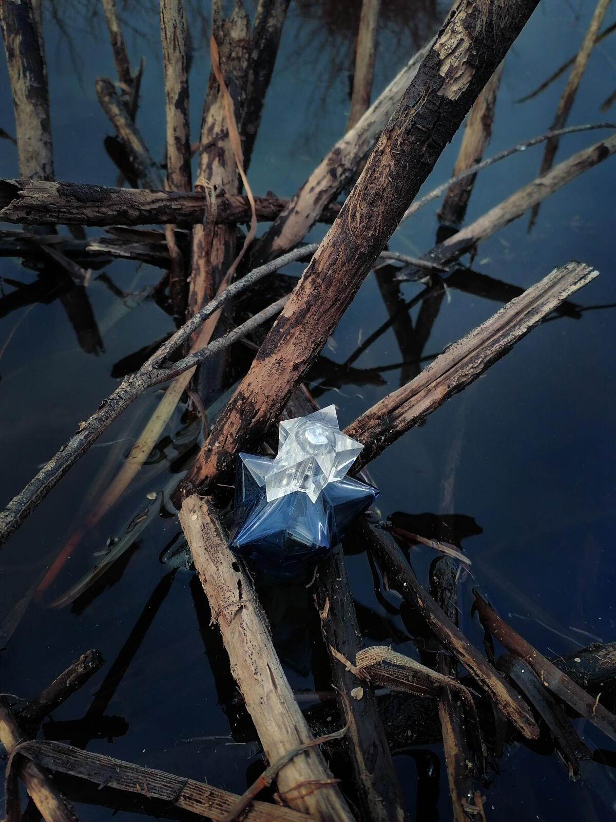 عطر ادکلن انجل لیکور د پرفیوم ۲۰۰۹ موگلر - Angel Liqueur de Parfum 2009 Mugler - بررسی، قیمت و خرید