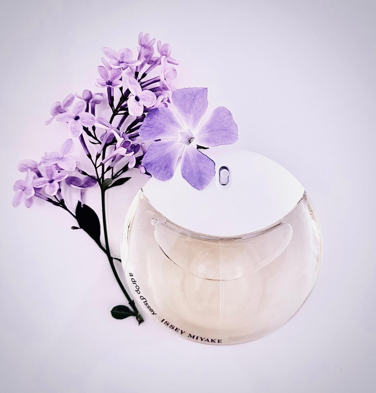 عطر ادکلن آ دراپ دیسه ایسه میاکه - A Drop d'Issey Issey Miyake - بررسی، قیمت و خرید