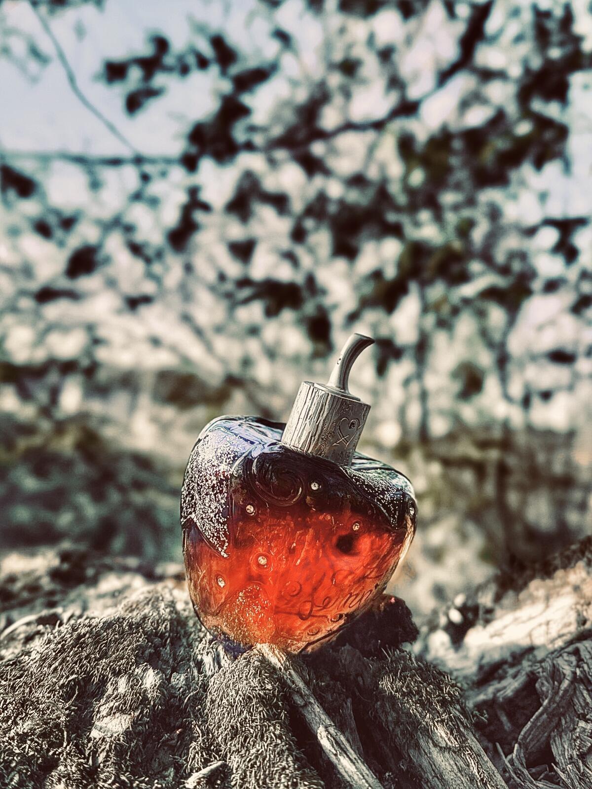 عطر ادکلن استار داست میدنایت فراگرنس لولیتا لمپیکا - Star Dust Midnight Fragrance Lolita Lempicka - بررسی، قیمت و خرید