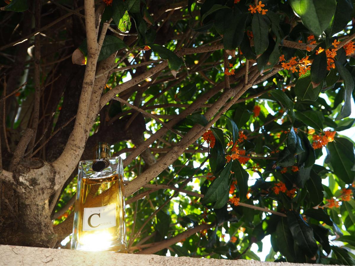 عطر ادکلن لو کورايل نیکولای پرفیومر کریتور - L’Eau Corail Nicolai Parfumeur Createur - بررسی، قیمت و خرید