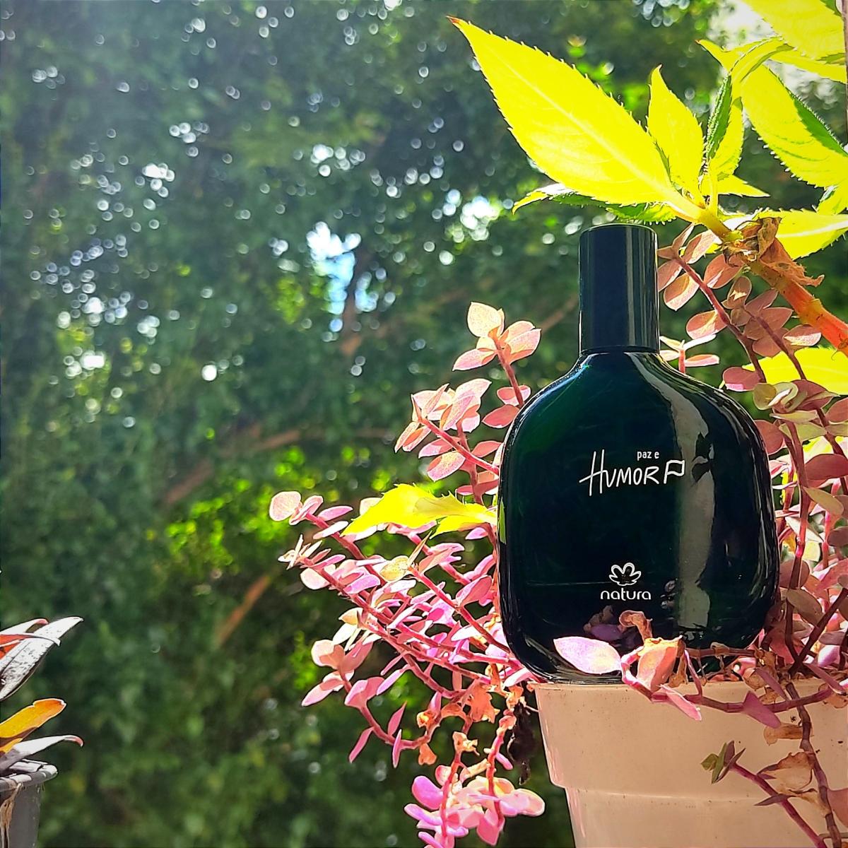 عطر ادکلن هیومور ۶ پاز ئه هیومور ناتورا - Humor 6 Paz e Humor Natura - بررسی، قیمت و خرید